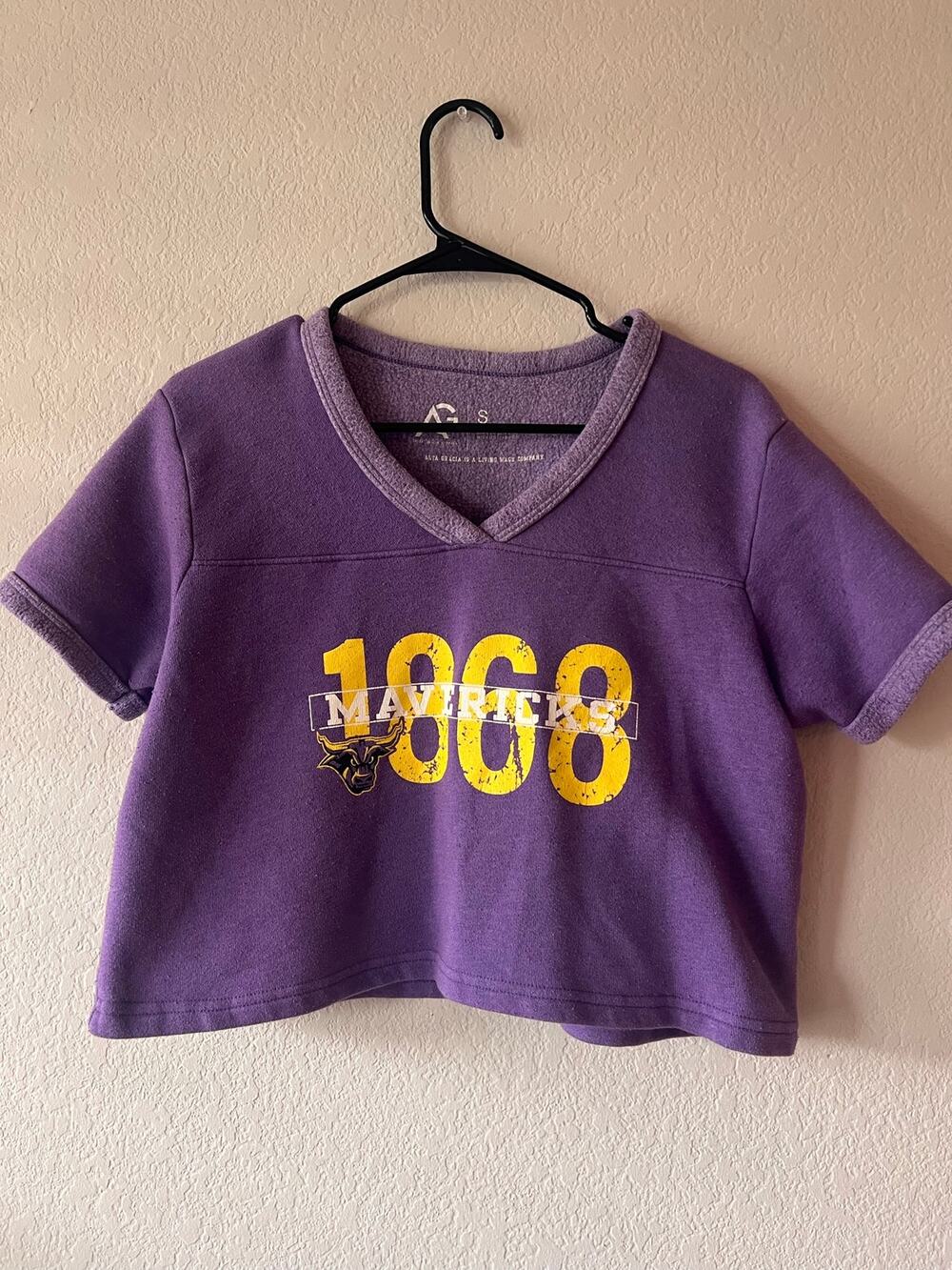 Minnesota State University Mankato Mavericks Purple Cropped VNeck Sweatshirt Tee
